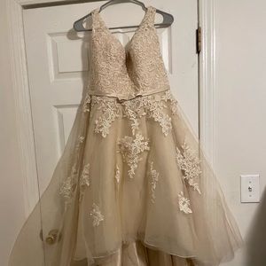 Champagne Wedding Dress/Party Dress